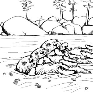 Three Otters Coloring Page